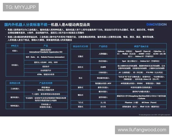 聚焦世界足坛巨星成长历程与赛场荣耀全景解析及未来展望趋势洞察