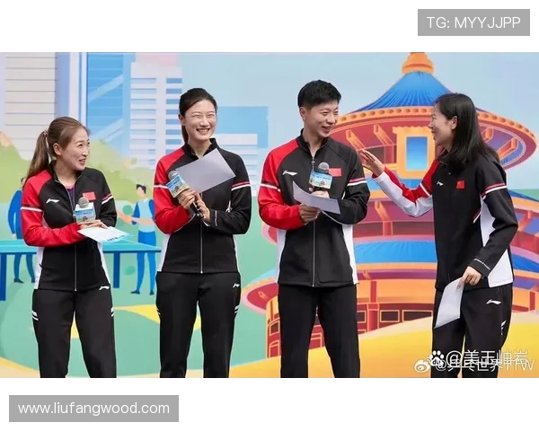 乒乓球运动的魅力与发展探索从国球精神到全民健身新时代